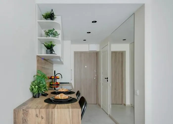 Green Apartment 维尔纽斯