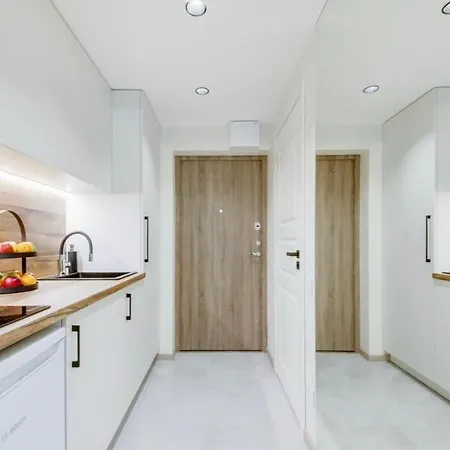 Green Apartment דירה וילנה