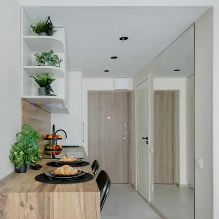 Green Apartment וילנה